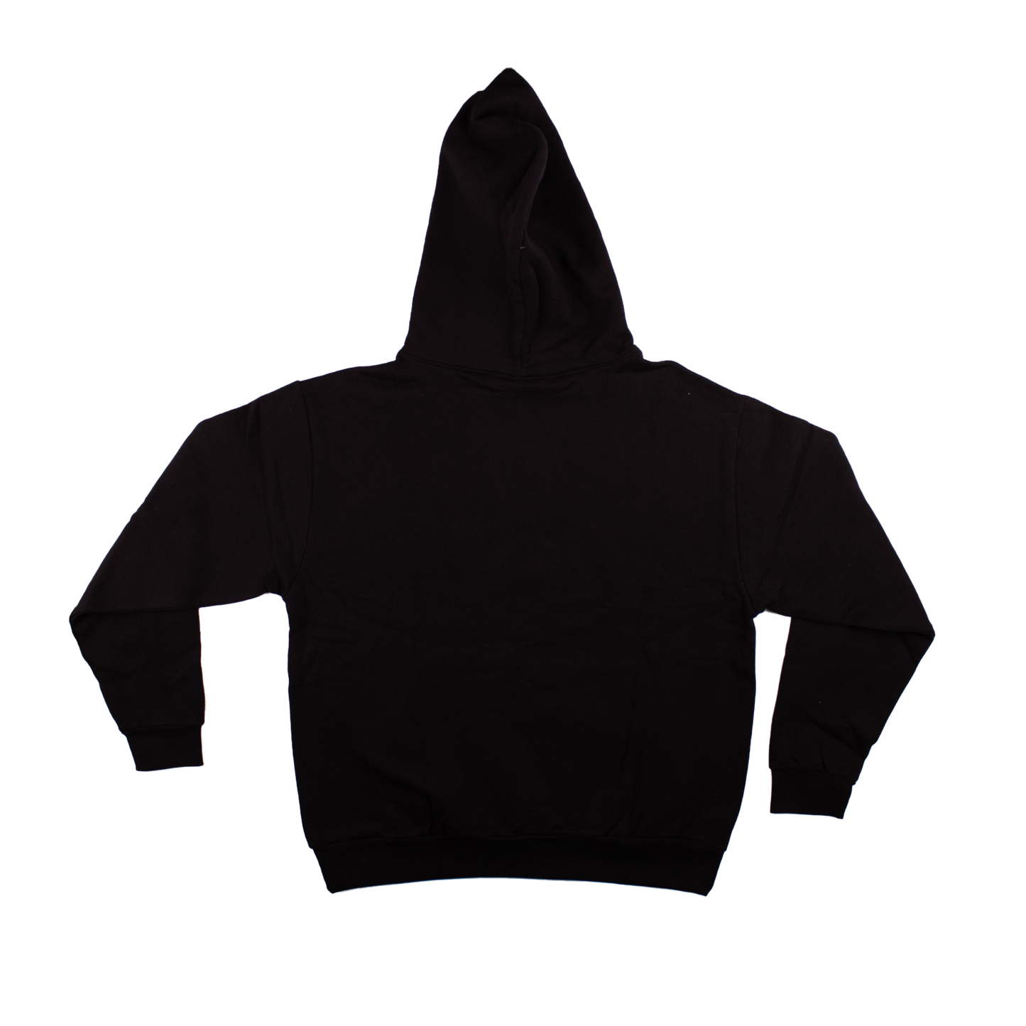 Collegiate BS Hoodie