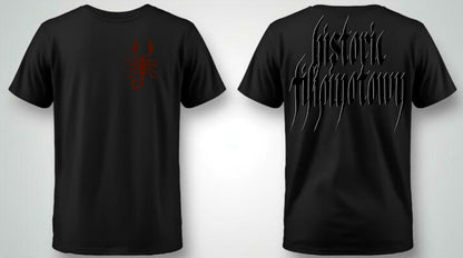 "HISTORIC FILIPINO TOWN" Premium Tee